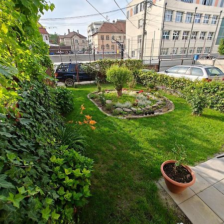 Transsylvanian Wolves Apartment Sibiu Exterior photo