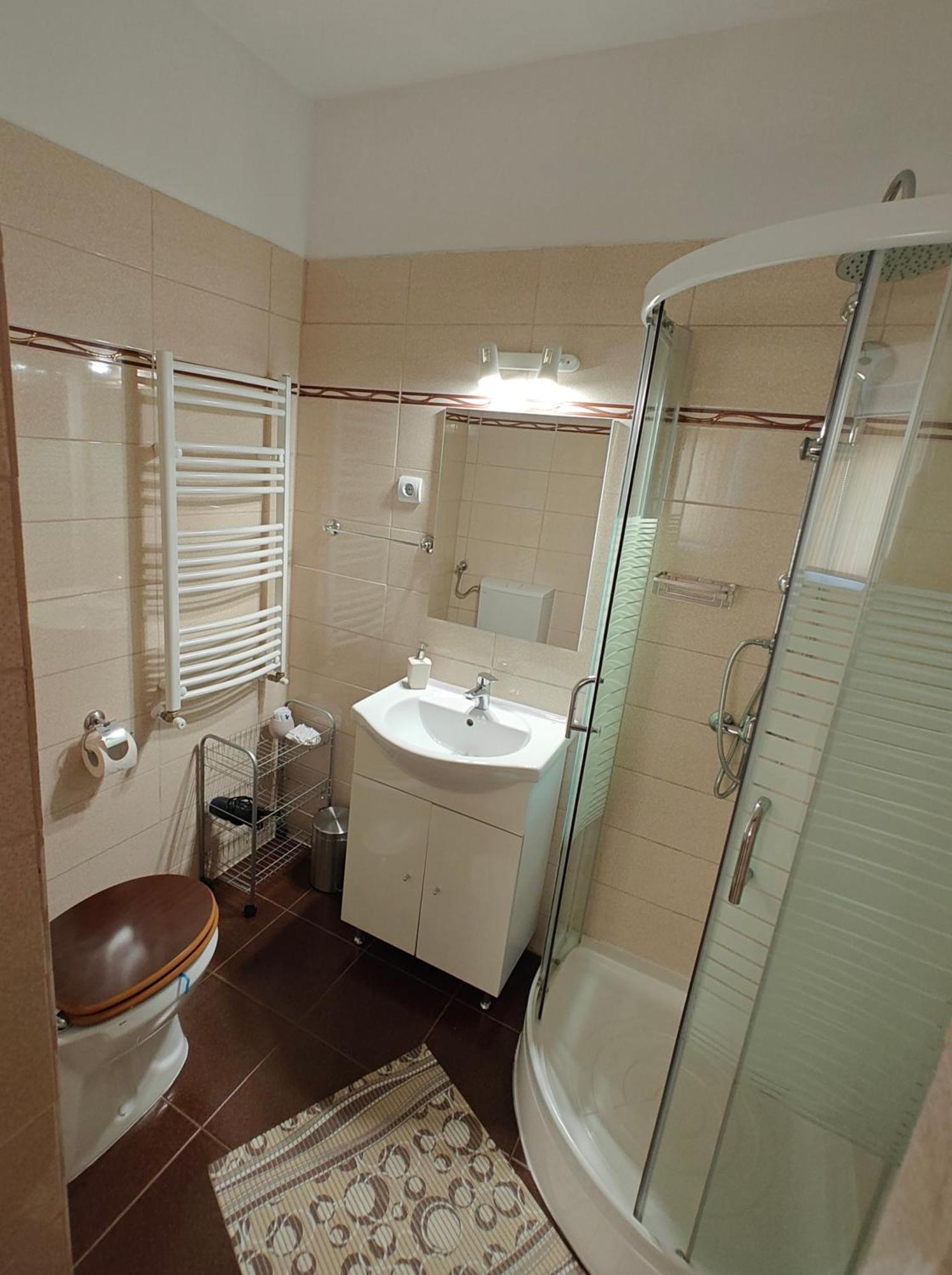 Transsylvanian Wolves Apartment Sibiu Exterior photo
