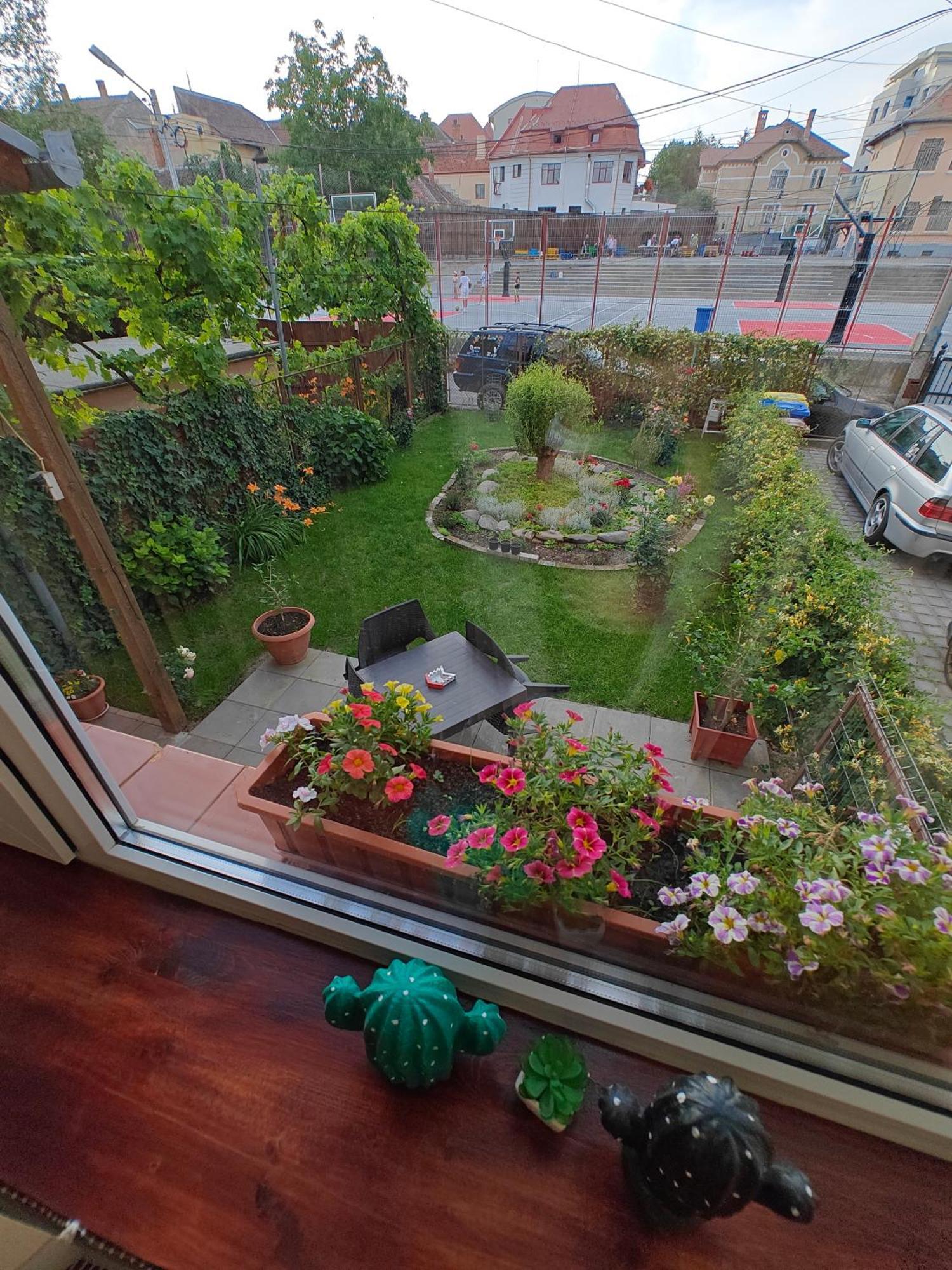 Transsylvanian Wolves Apartment Sibiu Exterior photo